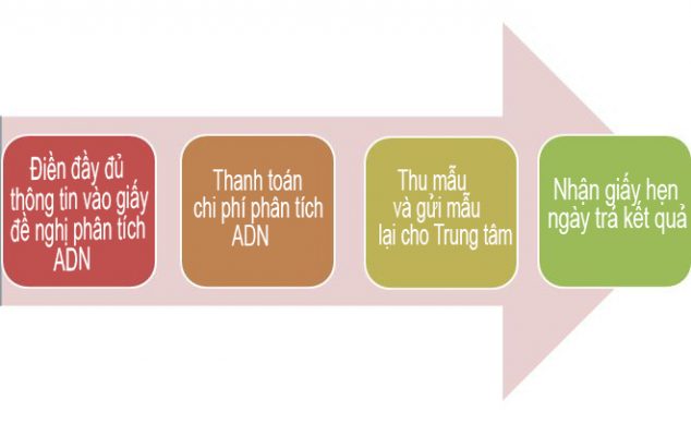 quy trình xét nghiệm adn