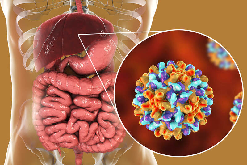 Virus viêm gan B là nguyên nhân hàng đầu gây các bệnh về gan