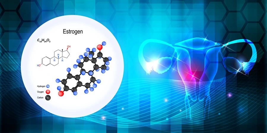 Estrogen hormon quan trọng ở nữ giới