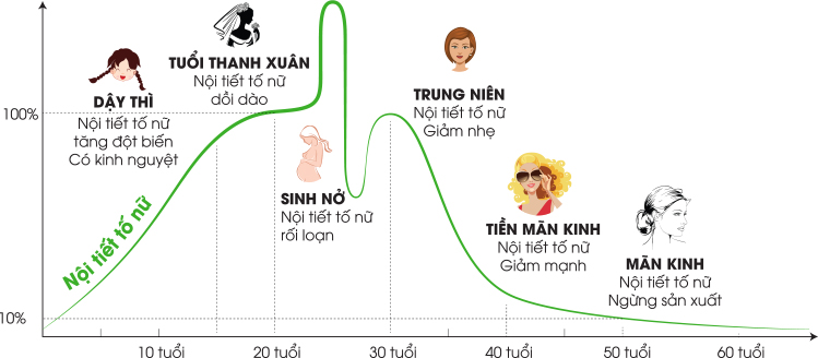 su-thay-doi-noi-tiet-to-nu-theo-thoi-gian